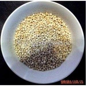 多種產(chǎn)品等級(jí)建材級(jí)氧化鎂類(lèi)型電熔氧化鎂執(zhí)行質(zhì)量標(biāo)準(zhǔn)國(guó)標(biāo)主營(yíng)產(chǎn)品