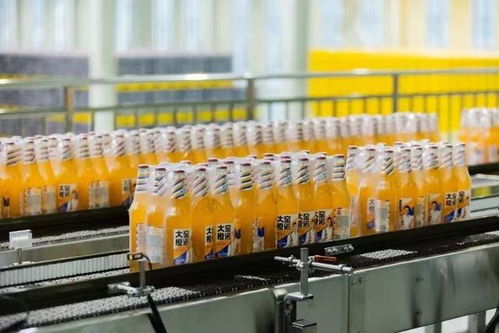 供應(yīng)鏈支撐,大窯飲品劍指全國市場