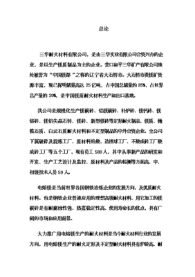 (終稿)電熔鎂生產線新增項目可行性立項申報論證報告.doc(最終版)